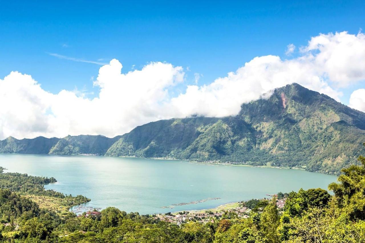 Paradise विला